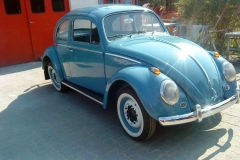 garbus-1