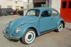 garbus-17