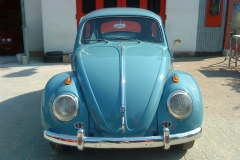 garbus-2