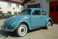 garbus-3