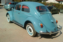 garbus-4