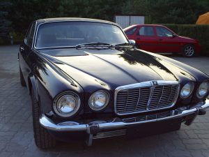 Jaguar